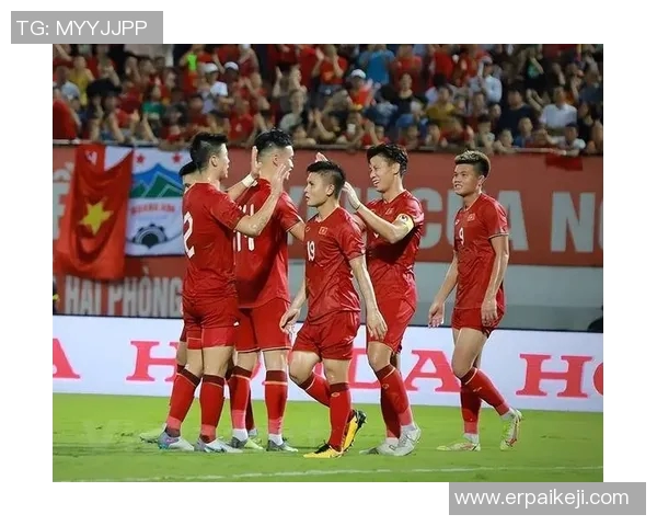 越南血统足球明星盘点与成就分析全景展示