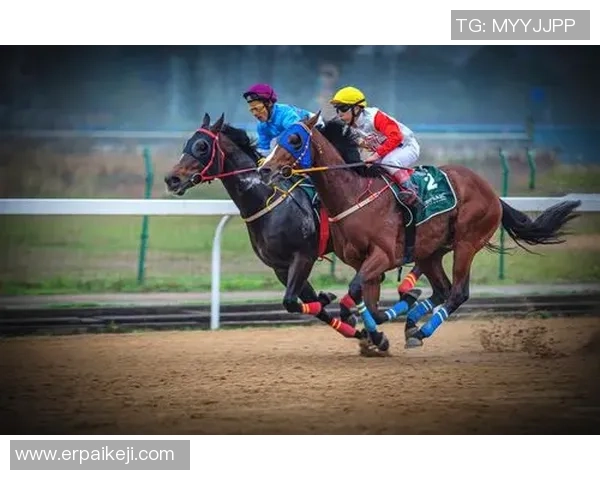武汉篮球队速度之美展现大满贯点评引领赛场新风潮