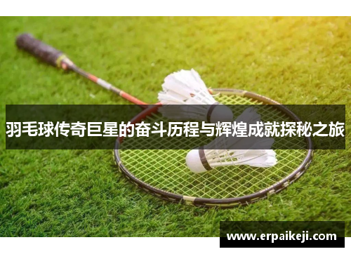 羽毛球传奇巨星的奋斗历程与辉煌成就探秘之旅